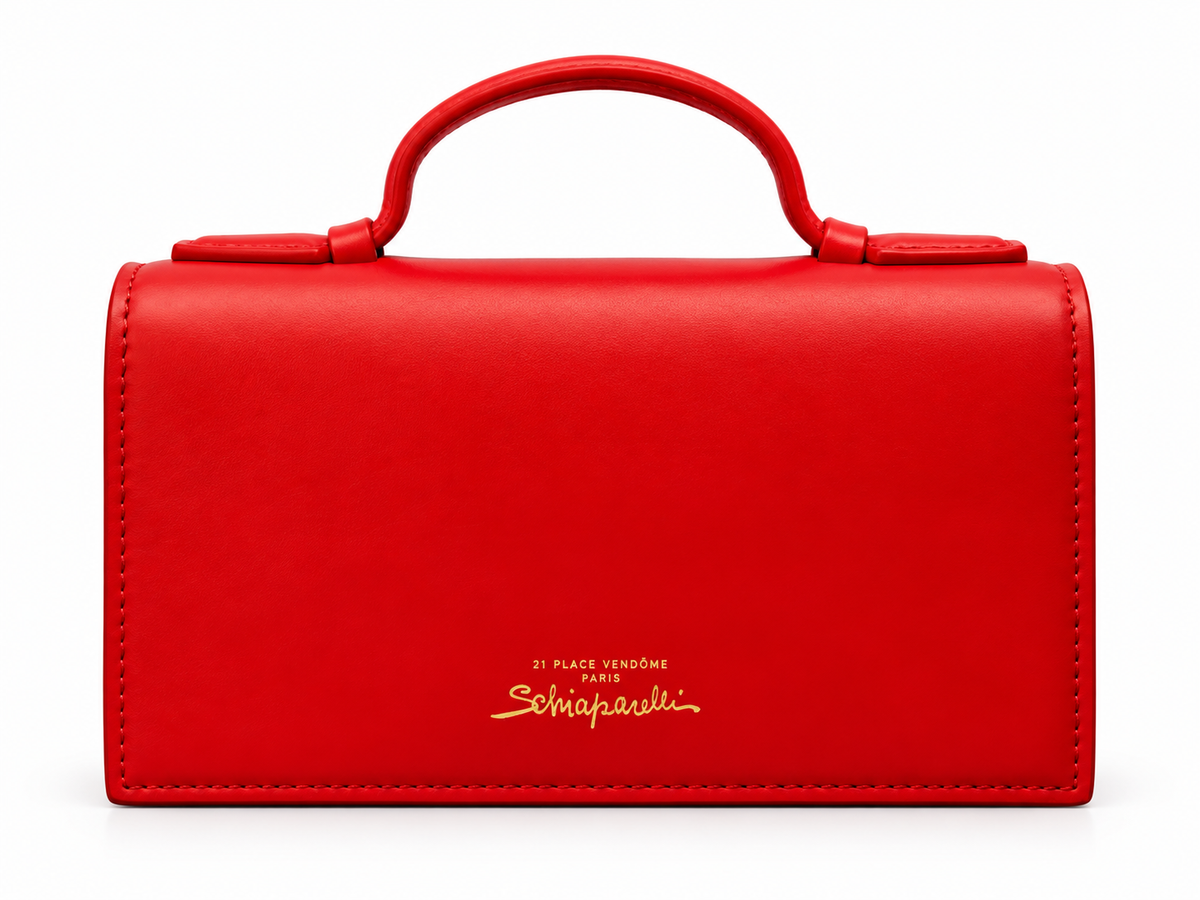Schiaparelli Lock Bag